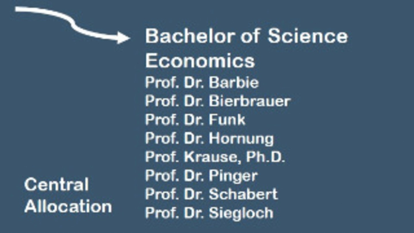 Bachelor VWL | Central Allocation