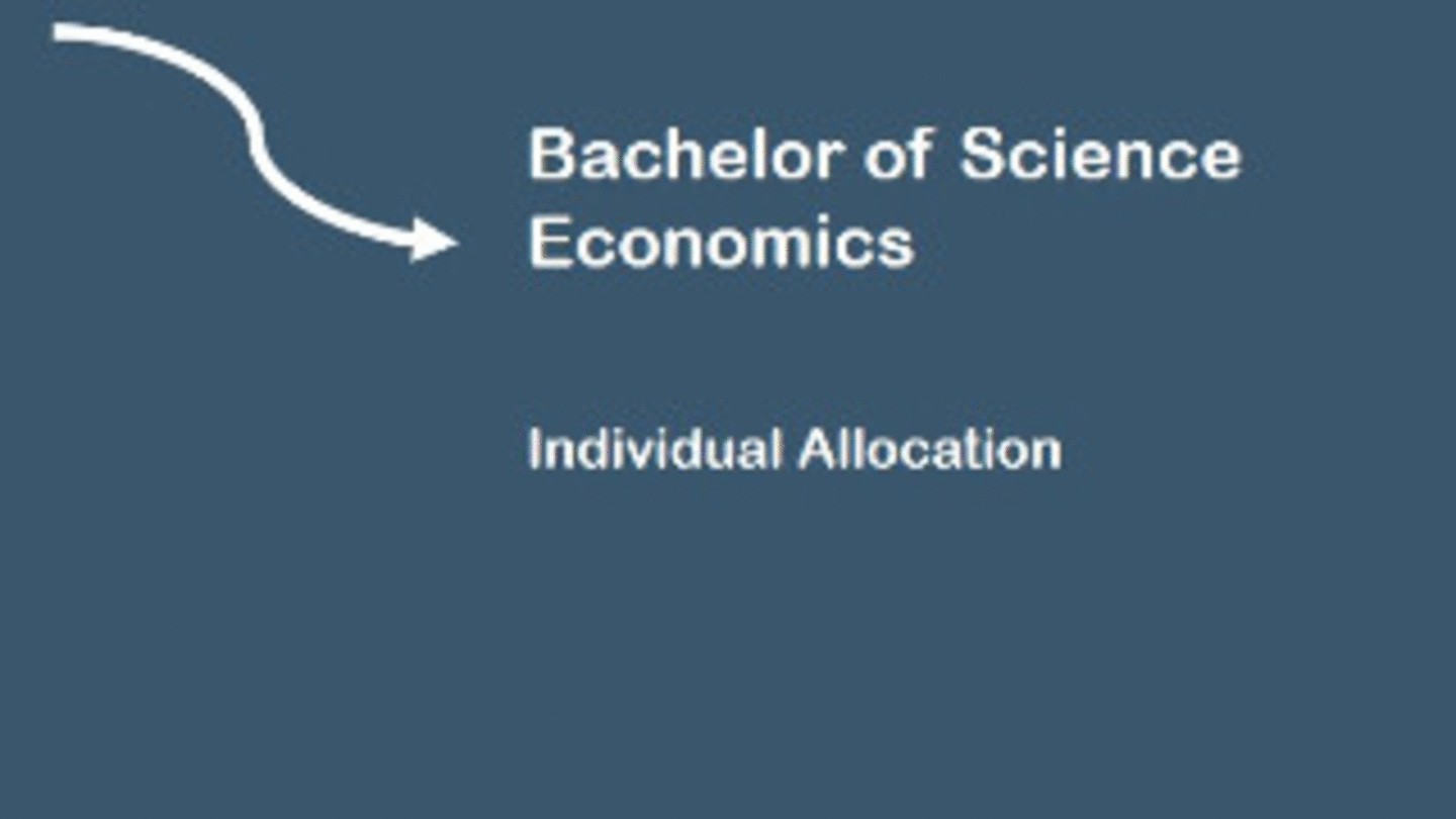 Bachelor VWL | Individual Allocation